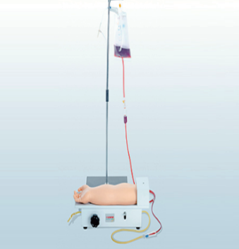 儿童桡动脉穿刺训练模型