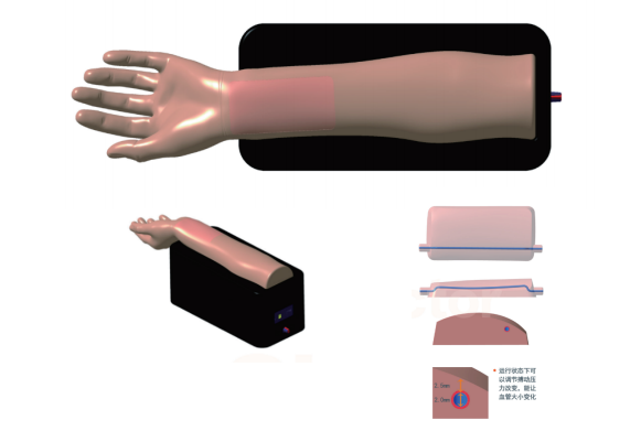 电动血压脉搏桡动脉注射手臂