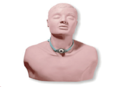 成人气管切开术护理模型