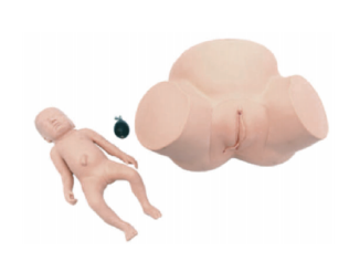 高级难产示教训练模型