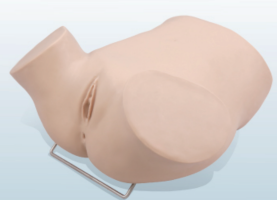 妇科分泌物检查训练模型