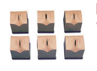 产前宫颈变化模型