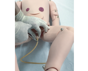 小儿导尿术实训模型(男)