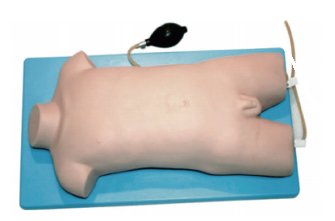 儿童股静脉与股动脉穿刺训练模型