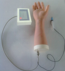 关节穿刺术训练模型