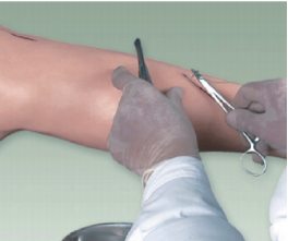 高级外科缝合腿模型