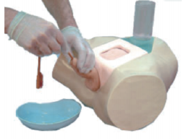 耻骨上膀胱穿刺造口术实训模型