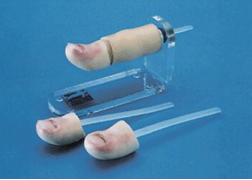 拔甲术训练仿真模型