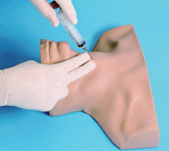 环甲膜穿刺模型