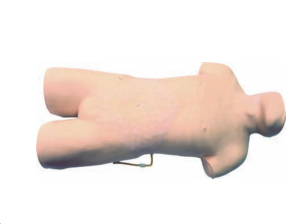 骨髓穿刺训练模型