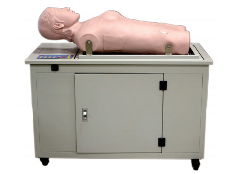 高级全自动多种穿刺叩诊电脑模拟人