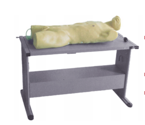 肝脓肿穿刺与胸腔穿刺训练模型(患者半卧位)