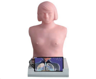 大屏幕心肺触诊听诊电脑模拟器