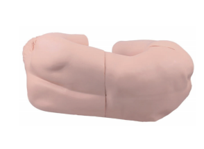 成人腰椎穿刺术模型