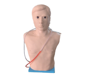 成人心包穿刺术模型