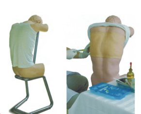 背部(胸部)穿刺训练模型