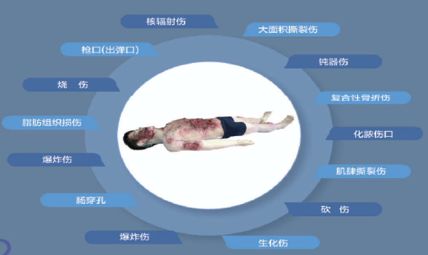 高级病理化综合模拟人