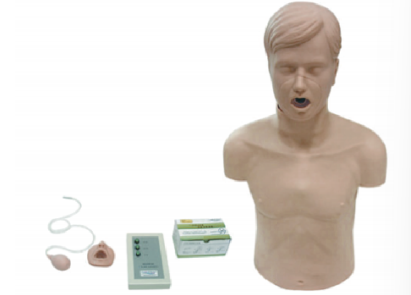 高级成人气道梗塞及CPR模型
