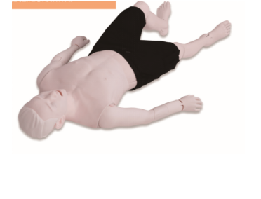 成人全身复苏宝模拟人